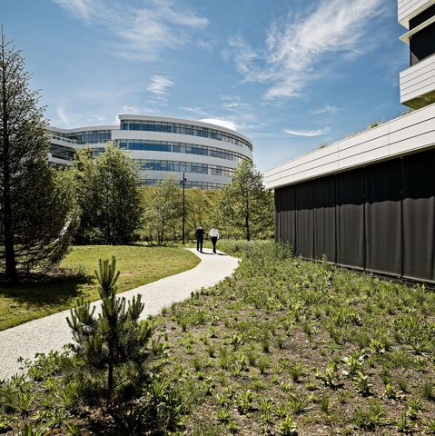 Novo Nordisk Head Office, MT Højgaard Danmark