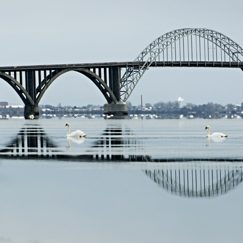 Møn Bridge, MT Højgaard Danmark