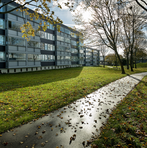 Skovgårdsparken, MT Højgaard Danmark